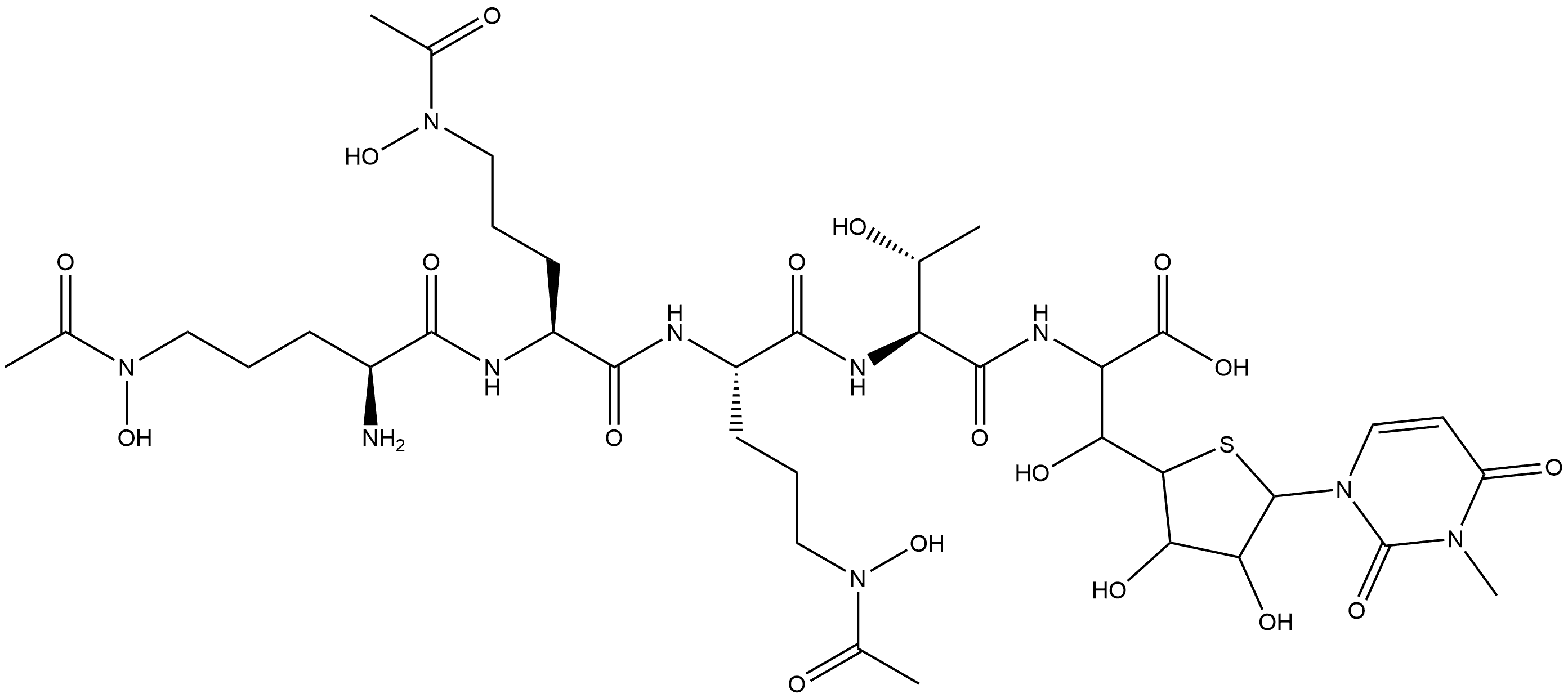 CasImg