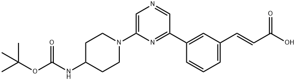 1006700-13-5
