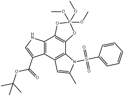 CasImg