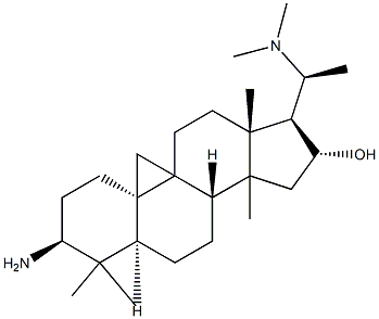 CasImg