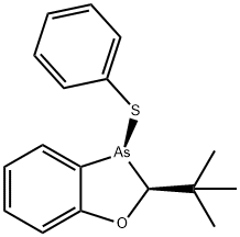 CasImg