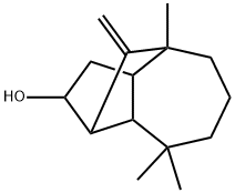 CasImg