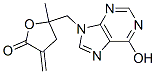 CasImg