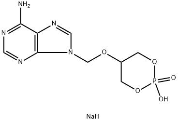 CasImg