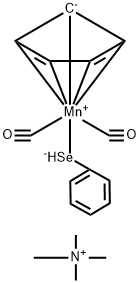 CasImg