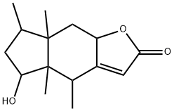 CasImg