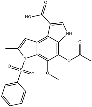 CasImg
