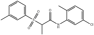 CasImg