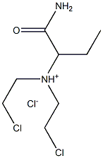CasImg