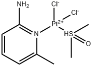 CasImg