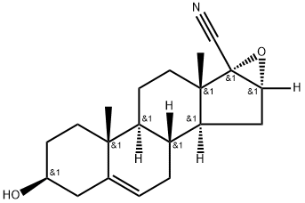 CasImg