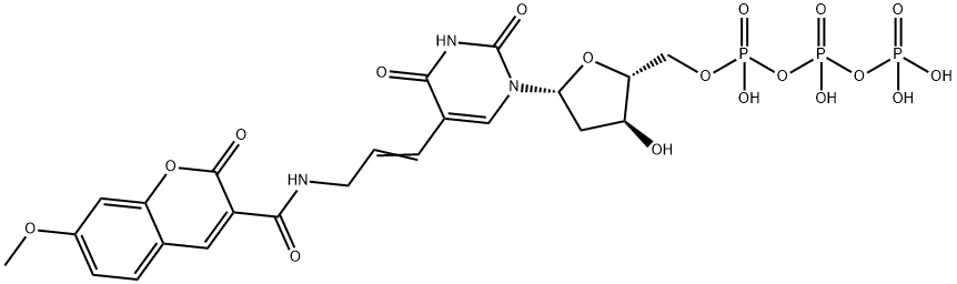 CasImg