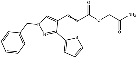 CasImg