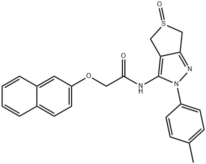 CasImg