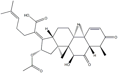 CasImg