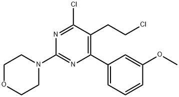 CasImg