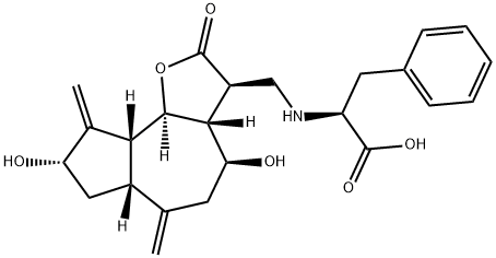 CasImg
