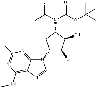 CasImg