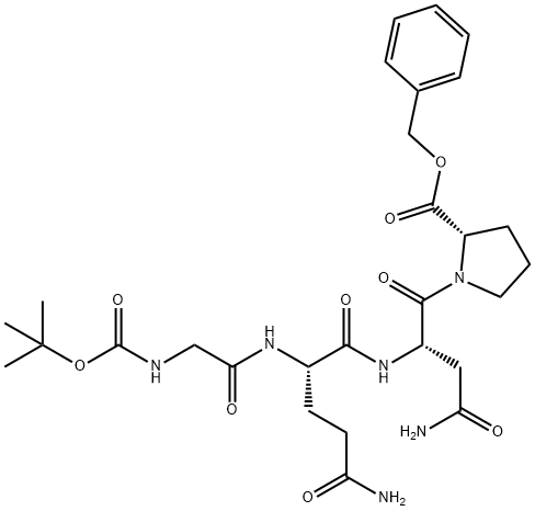 CasImg