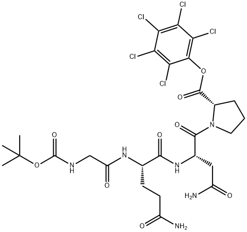 CasImg