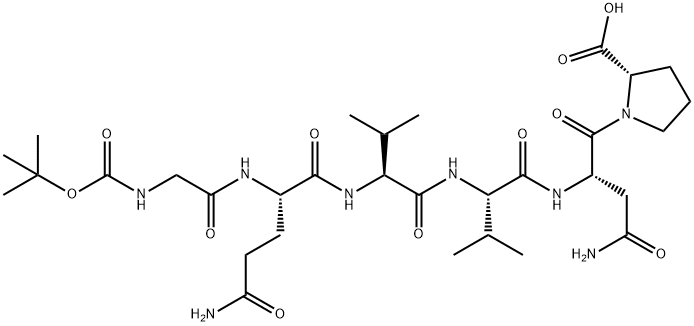 CasImg