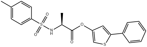 CasImg