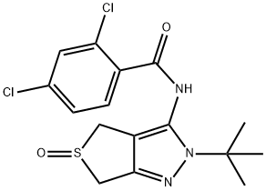 CasImg
