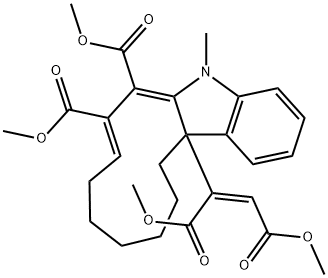 CasImg