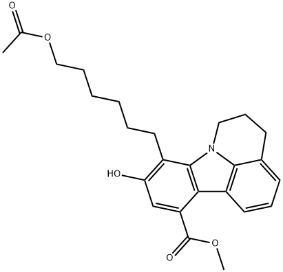 CasImg