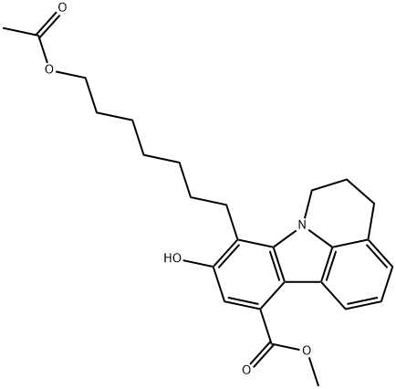 CasImg