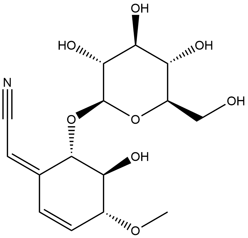 CasImg