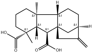 CasImg