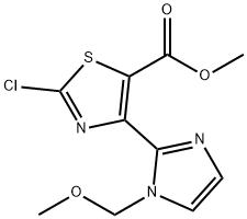 1007596-24-8