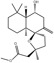 CasImg