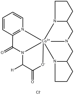 CasImg