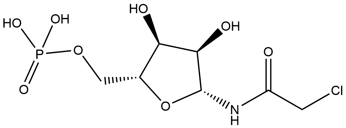 CasImg