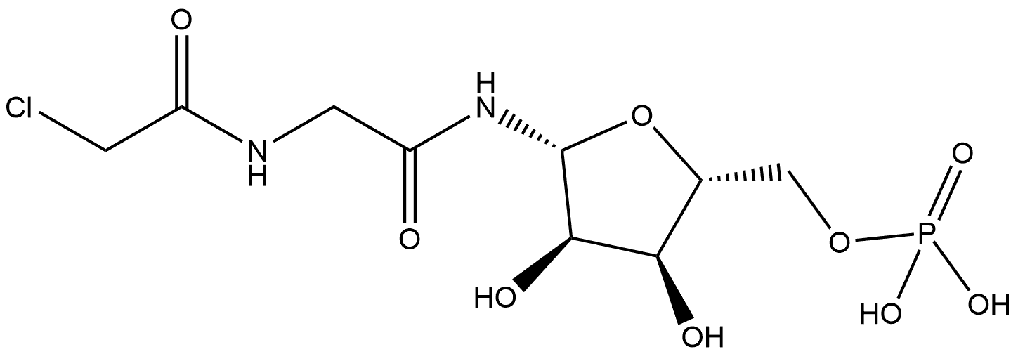 CasImg