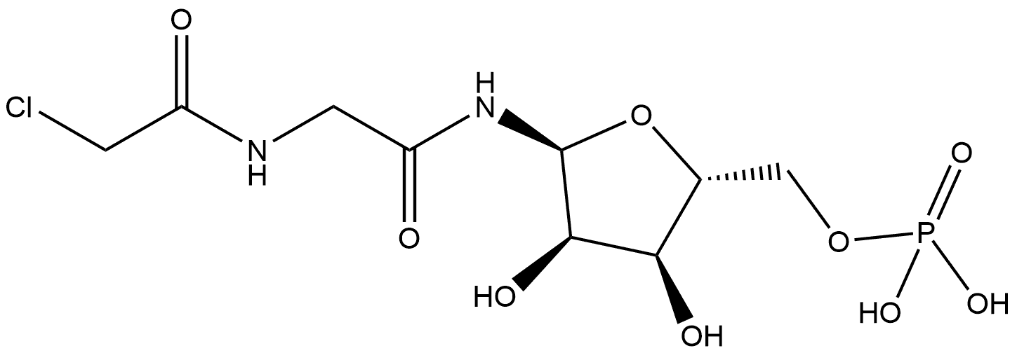 CasImg