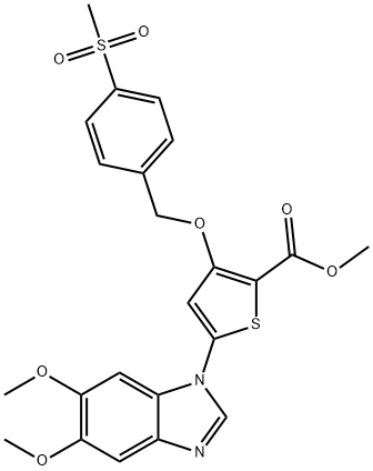 CasImg