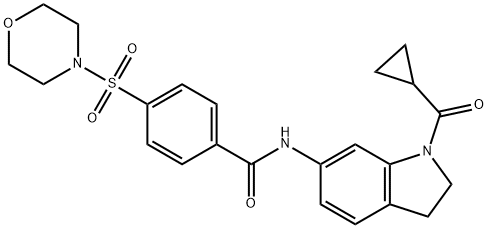 CasImg