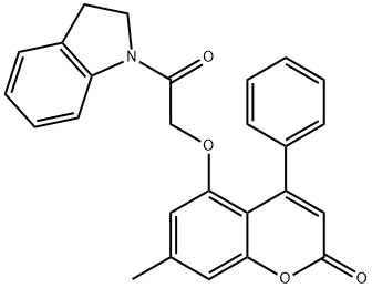 CasImg