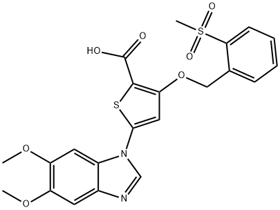 CasImg