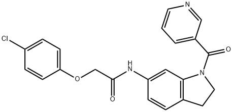 CasImg
