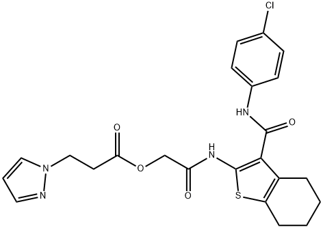 CasImg