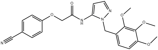 CasImg