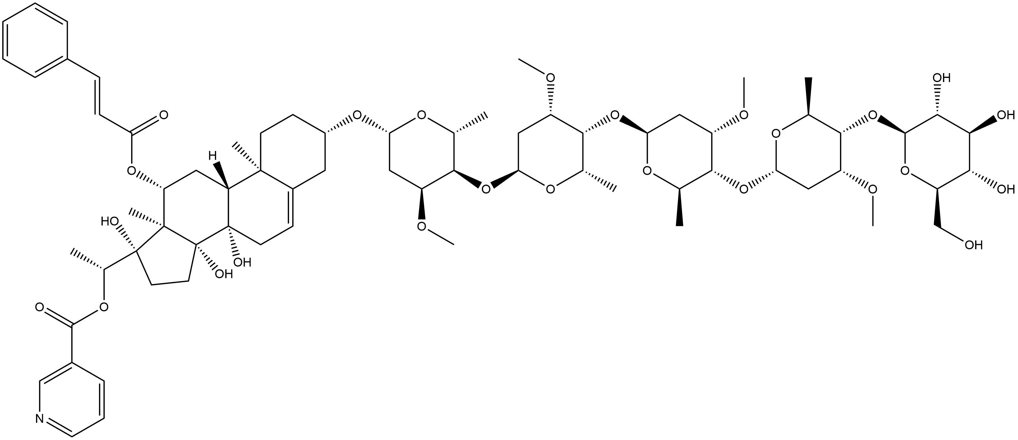 CasImg