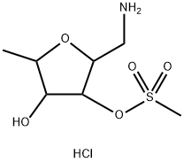 CasImg