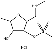 CasImg