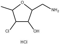 CasImg