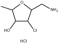 CasImg